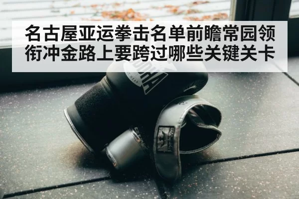 名古屋亚运拳击名单前瞻常园领衔冲金路上要跨过哪些关键关卡